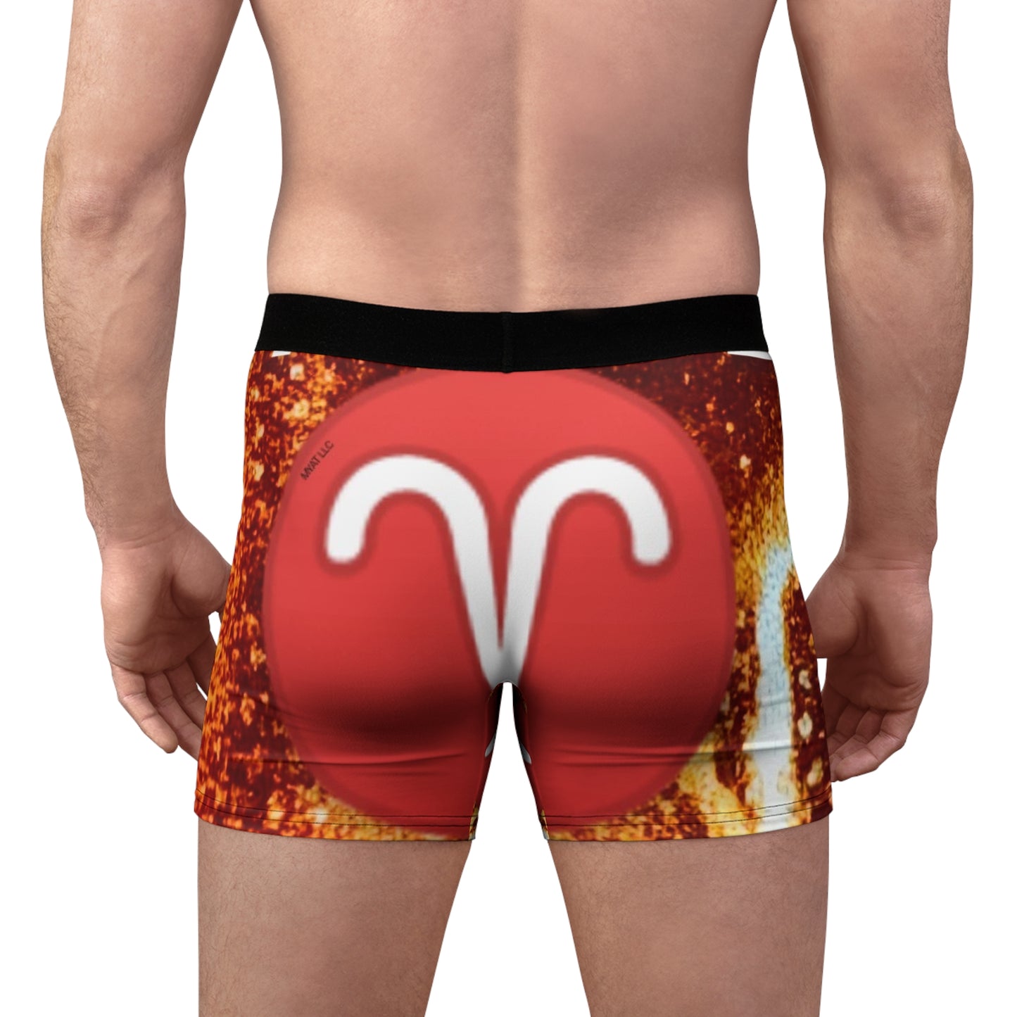 Men's Boxer Briefs (AOP)